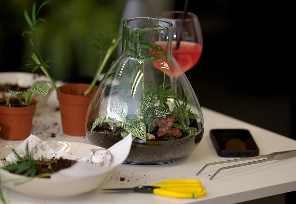 Флорариумы