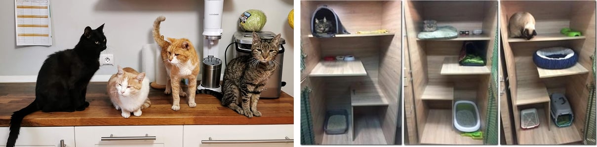 Ожидание и реальность. Зоогостиница