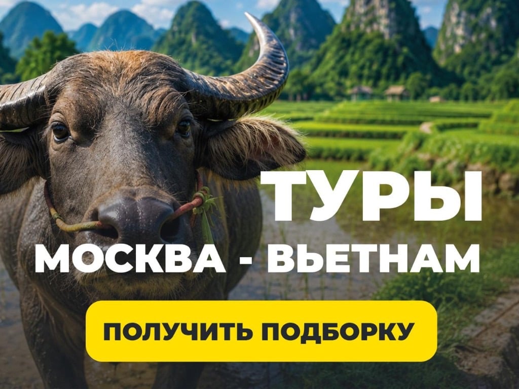 Рекламный креатив с буйволом — туры Москва — Вьетнам