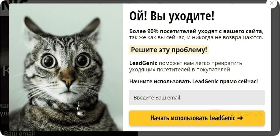 Пример агрессивного прощального окна с призывом не уходить