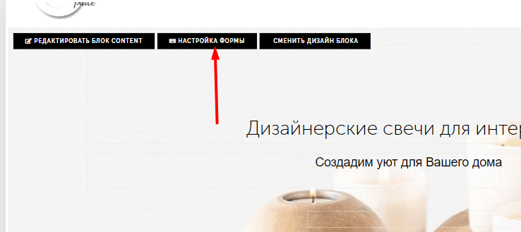 Переходим в редактор сайта Ex-in и кликаем «Настройка формы»