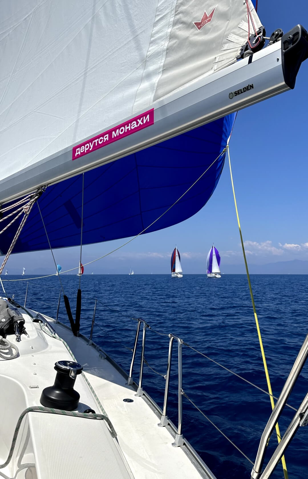 Гонки на яхтах