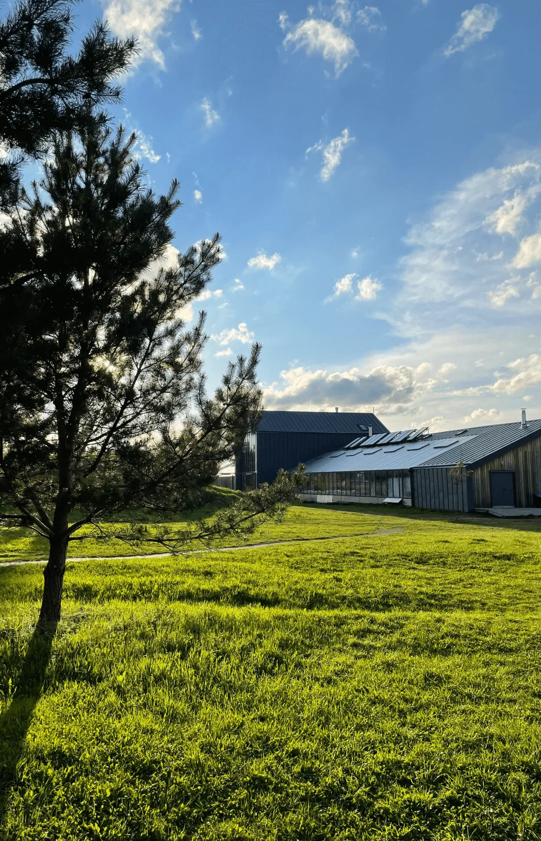 Ясно Поле весенний слёт