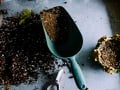 Квиз-тест для подбора удобрений для урожая