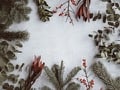 Новогодний квиз для бьюти-салона с подарком